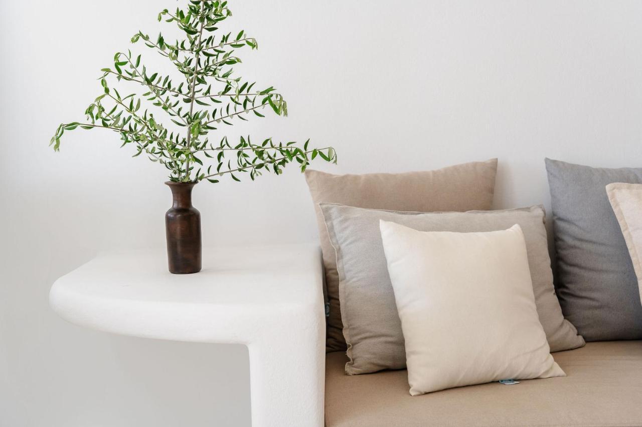 Villa Nausicaa Kastraki Naxos Naxos City 외부 사진