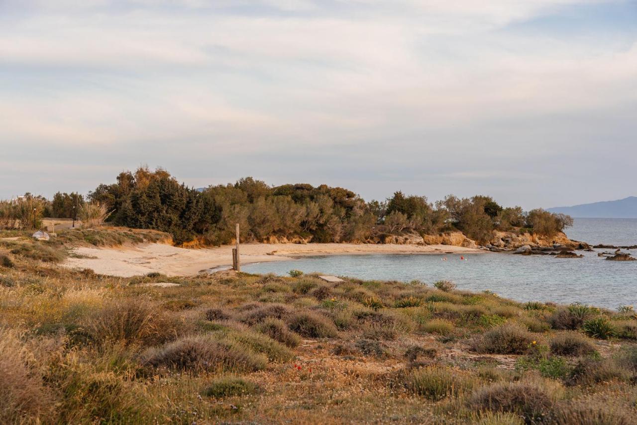 Villa Nausicaa Kastraki Naxos Naxos City 외부 사진